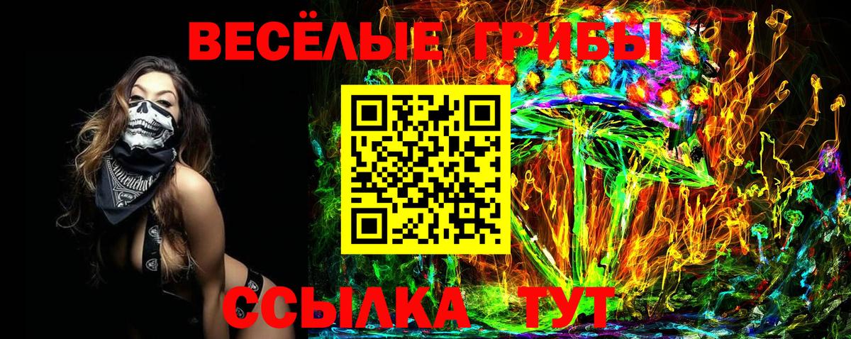 Псилоцибиновые грибы Magic Shrooms  Псилоцибиновые грибы прущие грибы  где купить наркотик  Вход с VPN  Волоколамск 